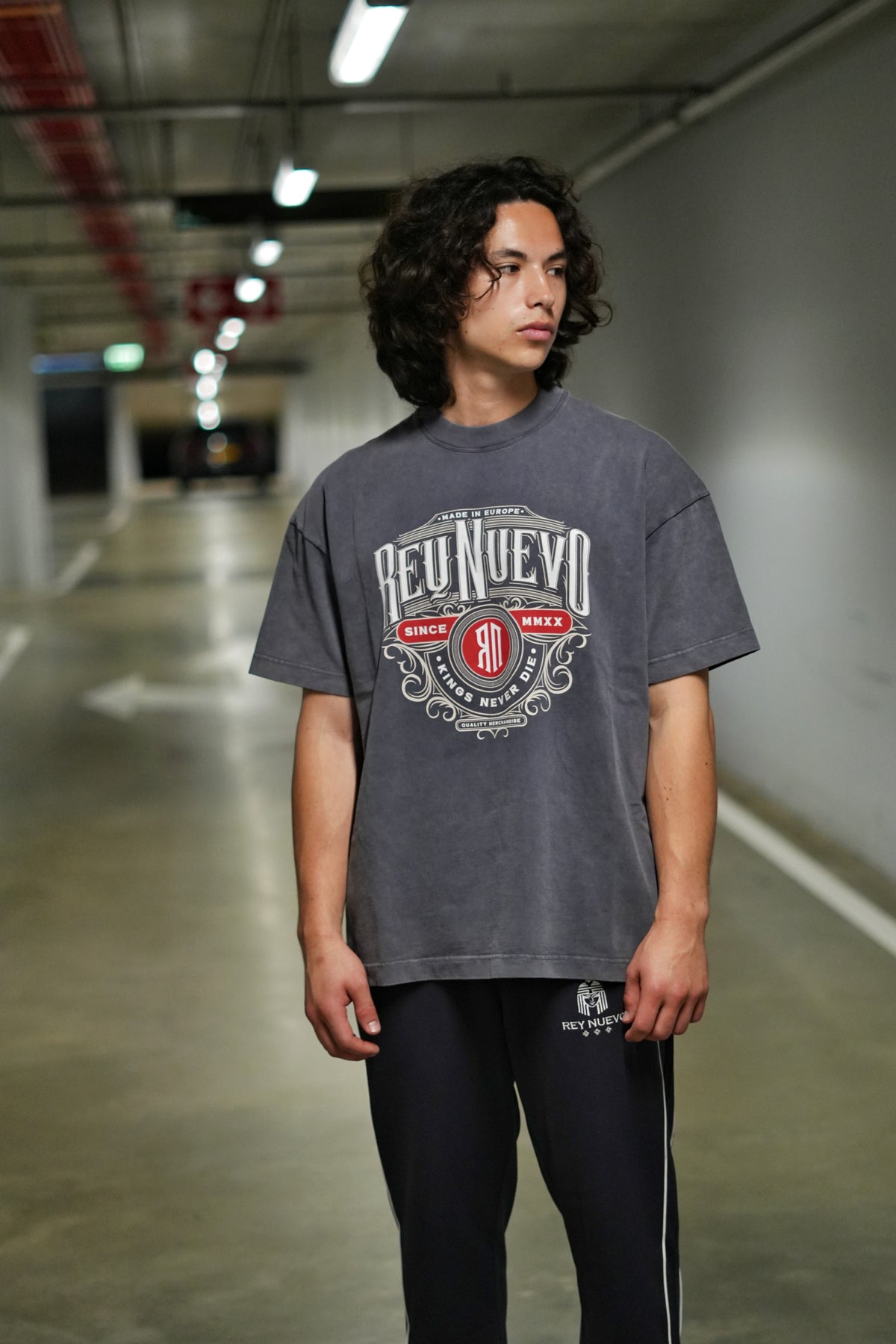 Frequency T-Shirt (Gray)